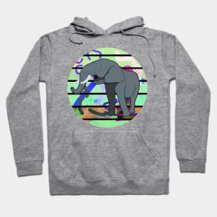 Big Elephant Hoodie